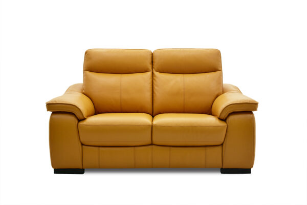 The Gavin 2 Seater Electric Recliner Leather Sofa